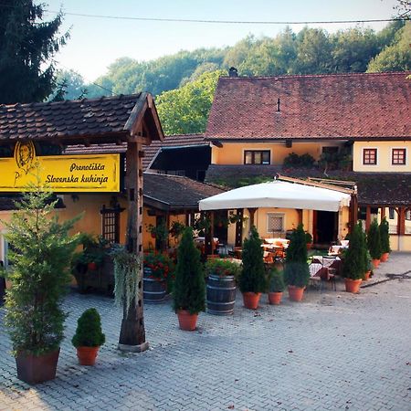 Guest House Pri Vodniku ليوبليانا المظهر الخارجي الصورة
