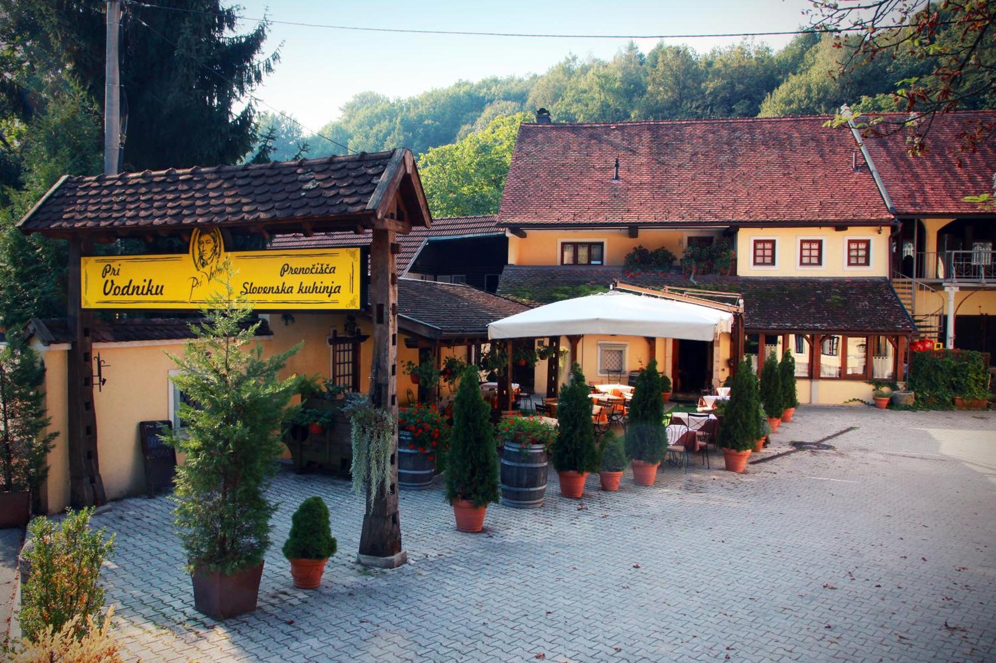 Guest House Pri Vodniku ليوبليانا المظهر الخارجي الصورة